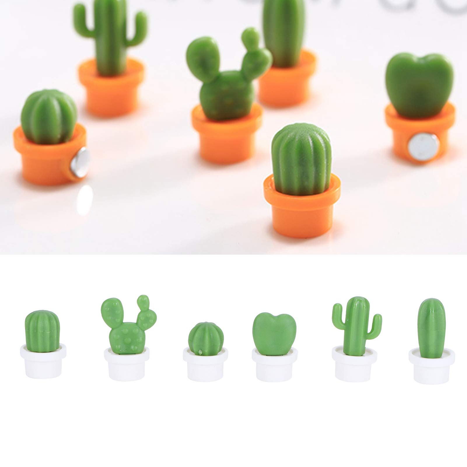 Succulent Plant Fridge Magnets - Cute Refrigerator Stickers for Whiteboard, Blackboard & Memo Notes - Perfect for Kitchen Organization, Office Reminders & School Message Boards