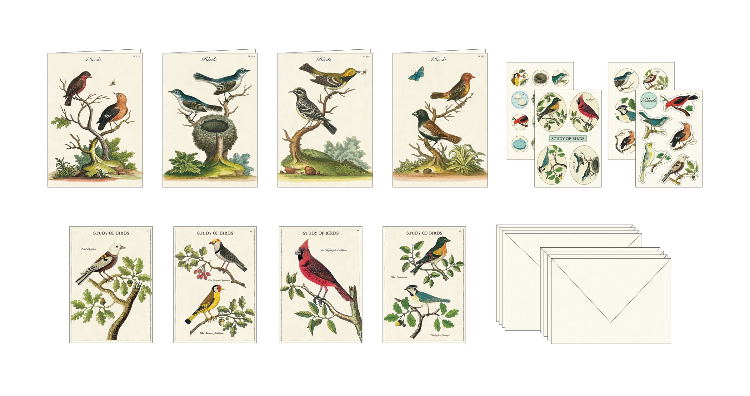 Colorful Bird-Themed Stationery Set for Writing & Drawing - Perfect for School, Office & Art Projects