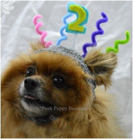 Custom Number Crochet Birthday Beanie Hat - Handmade Knit Cap for Women & Men - Perfect for Birthday Parties, Photo Shoots & Winter Fashion