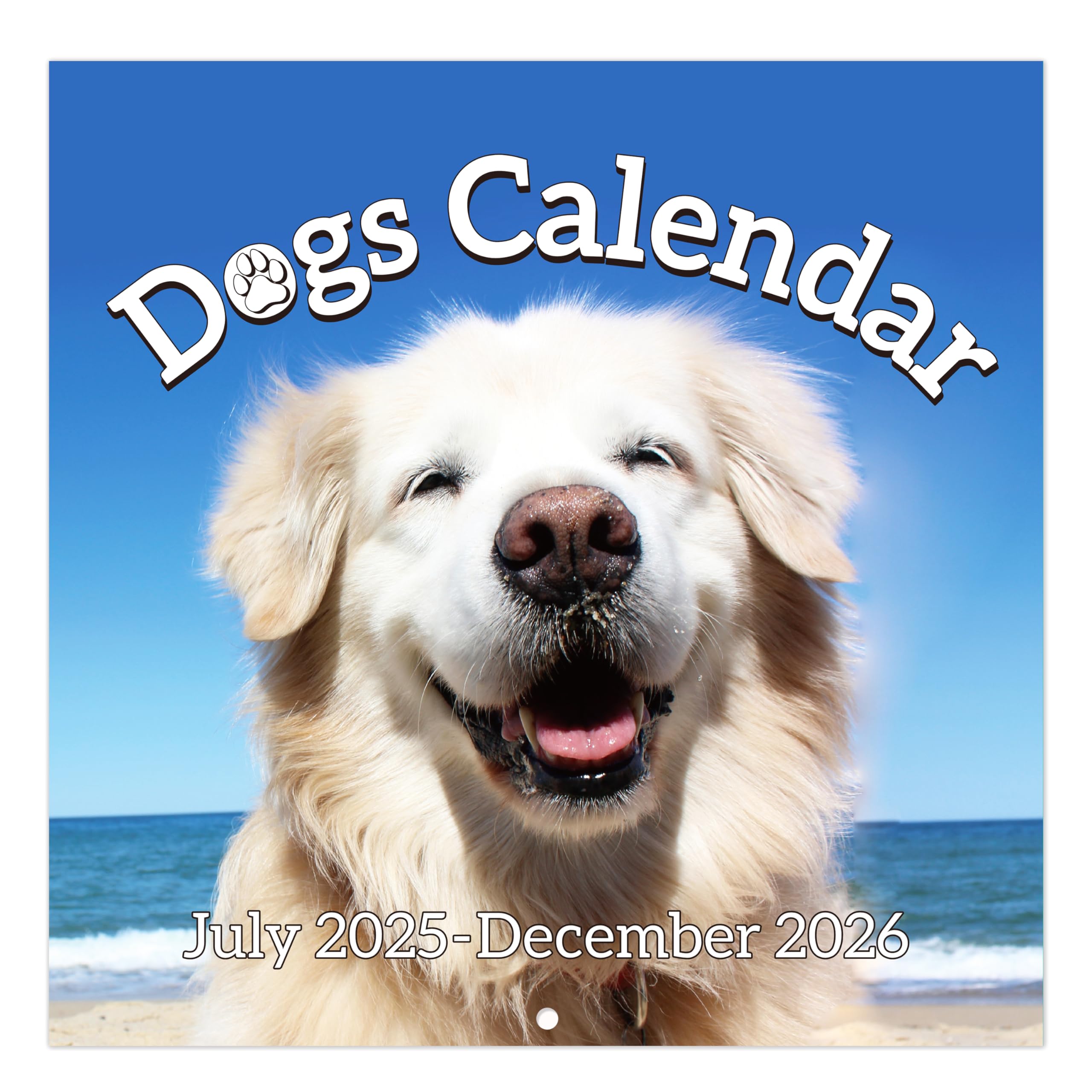 2025-2026 Wall Calendar - 18 Month Large Monthly Planner from July 2025 to December 2026, 12x24 Inches Open Format with Blank Date Boxes, Funny Office & Home Decor Gift for Coworkers, Friends & Family - Perfect for Planning, Scheduling & Home Organization