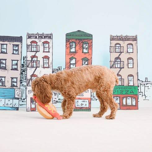 BarkShop Helga's Hot Dog Plush Dog Toy - Soft & Durable Pet Chew Toy for Small & Medium Dogs - Perfect for Playtime, Training & Cuddling