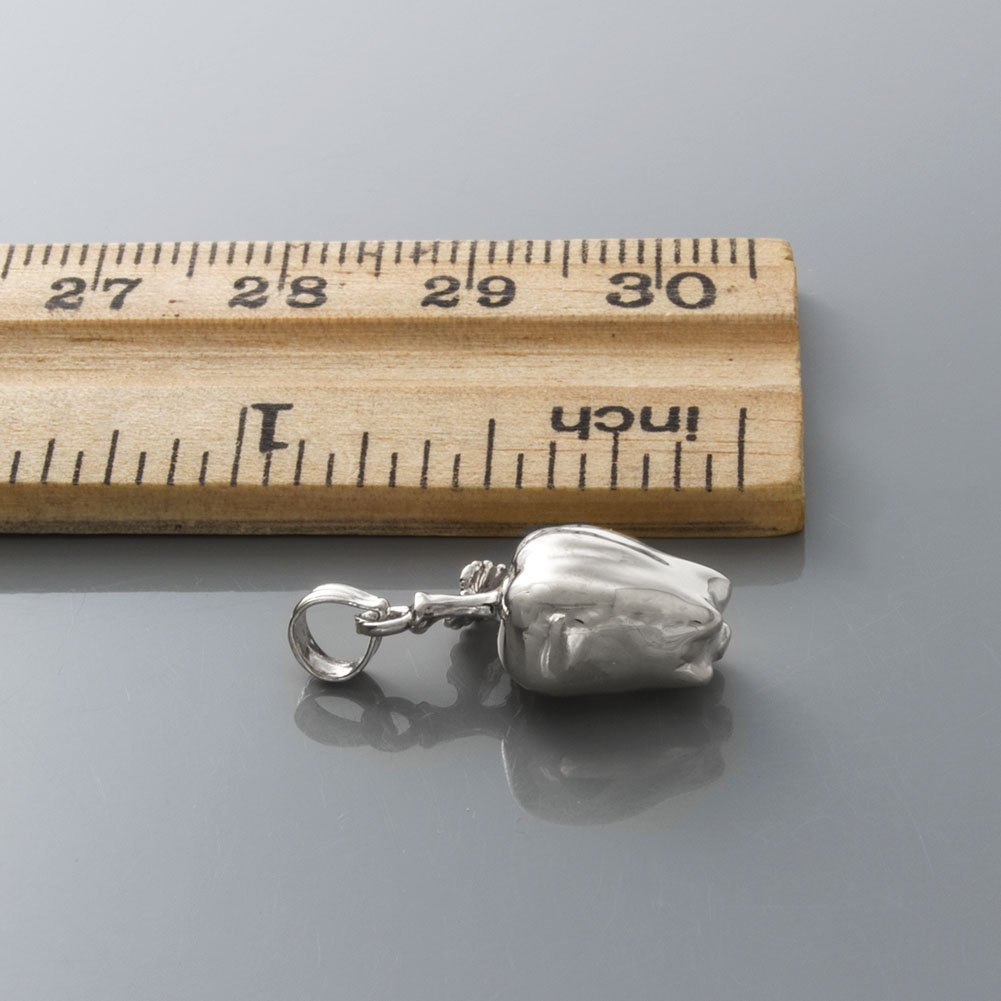 925 Sterling Silver Apple Pendant Necklace with Chain - 3D Fruit Charm with Stem & Leaf - Perfect for Gifts, Birthdays, and Everyday Jewelry