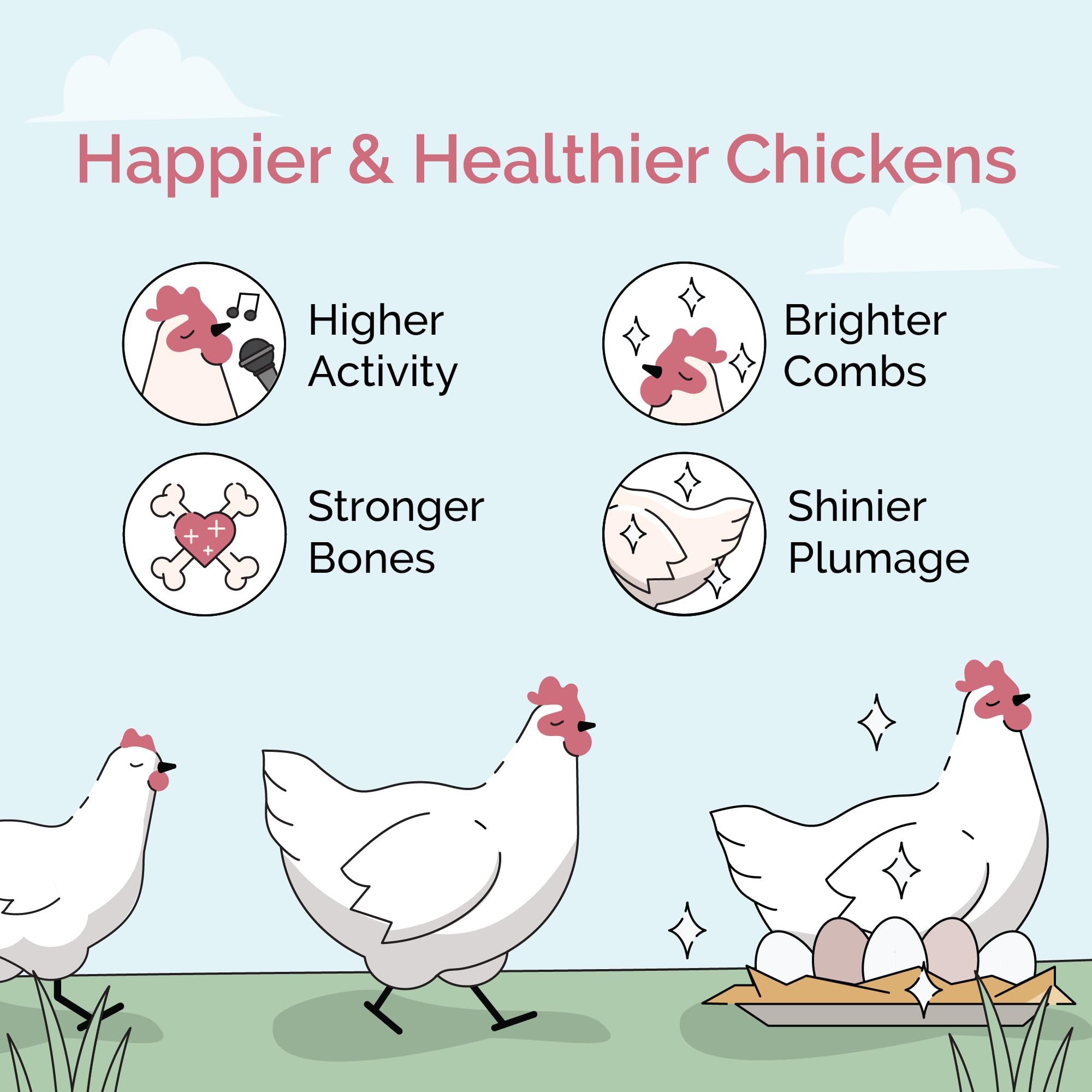 Organic Chicken Feed – Non-GMO, USA Grown, Whole Grain Grower Feed with 18% Protein, Corn-Free & Soy-Free, Non-Medicated Poultry Feed (46 lbs) – Perfect for Raising Healthy Backyard Chickens and Organic Egg Production