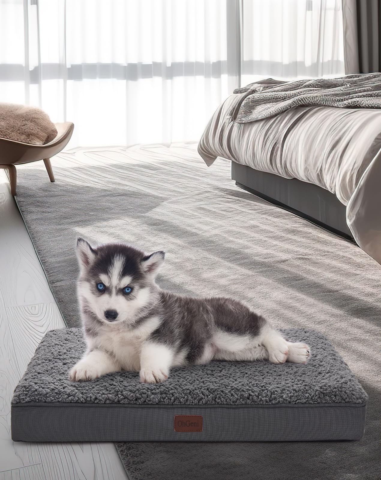 Orthopedic Dog Bed for Medium Dogs - Plush Egg Foam Support, Non-Slip Bottom, Waterproof & Machine Washable Cover - Perfect for Arthritis Relief & Comfortable Sleeping in Kennels or Living Rooms