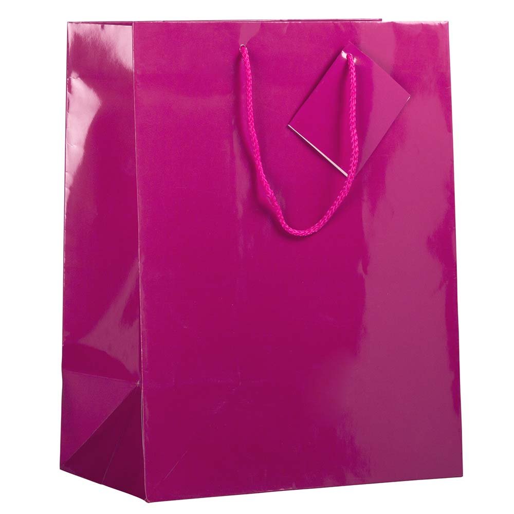 JAM Paper Glossy Gift Bags with Rope Handles - Large 10x5x13 Inches - Hot Pink - Bulk Pack of 100 - Perfect for Birthday Parties, Weddings & Holiday Gifts