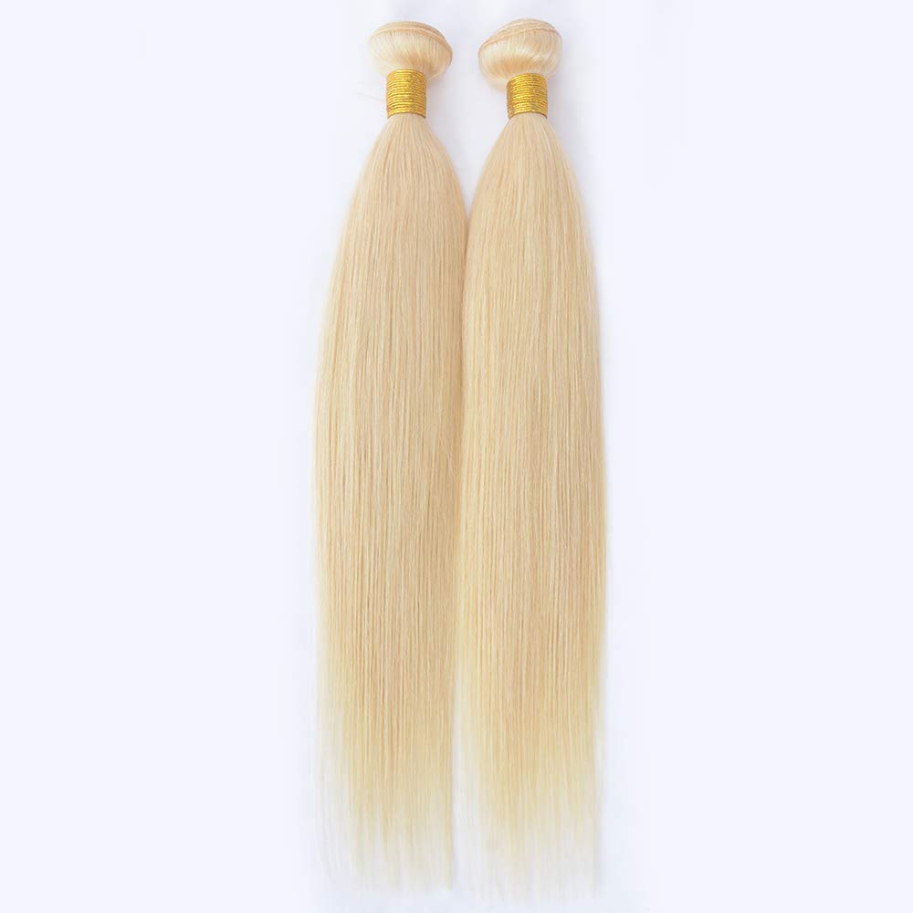 SeraphicWig 613 Blonde Human Hair Extensions - 100% Real Silky Straight Bundles (12inch 100g) for Women | Perfect for Daily Wear, Parties & Special Occasions