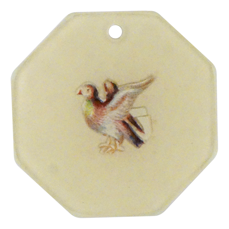 OOR Bird BIS PNG - High-Quality Digital Bird Image for Print, Design & Decor | Perfect for Wall Art, Greeting Cards & Scrapbooking