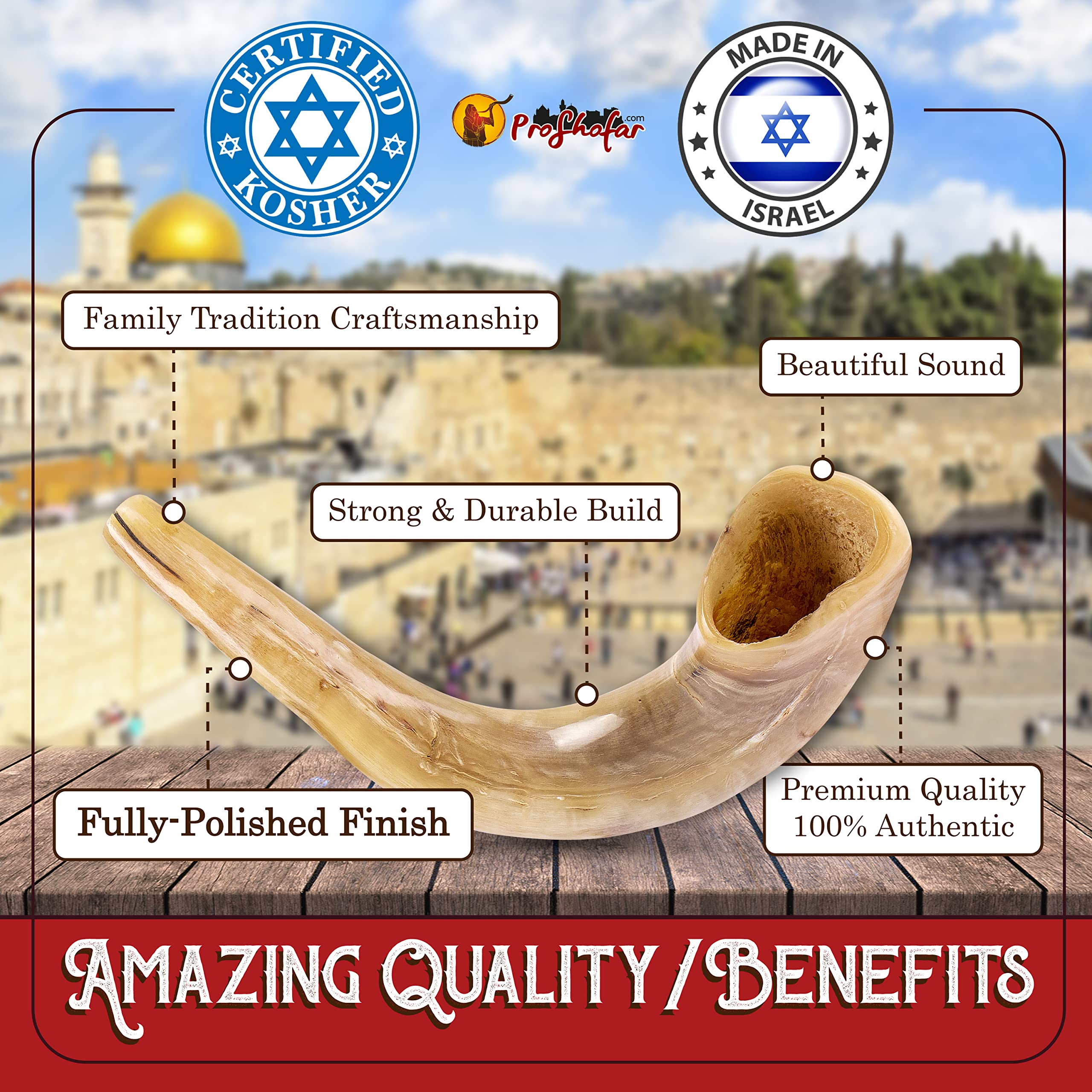 Authentic Polished Ram Shofar Set from Holy Land - Kosher Certified, Made in Israel with Velvet Carry Bag, Odor Neutralizer Spray, Cleaning Brush & Red Bracelet | Perfect for Jewish Holidays, Religious Ceremonies & Spiritual Practices