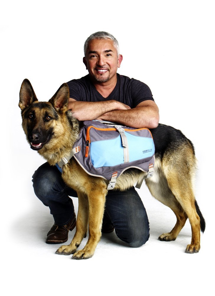 Cesar Millan Dog Backpack - Durable & Padded Hiking Backpack for Dogs | Comfortable Pet Carrier for Outdoor Adventures, Walking & Training