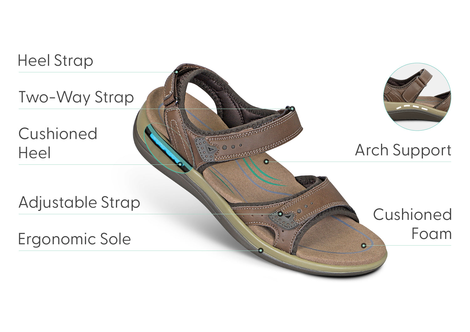 Malibu Two-Way Adjustable Strap in Brown - Perfect for Bags, Luggage & Outdoor Gear Securing