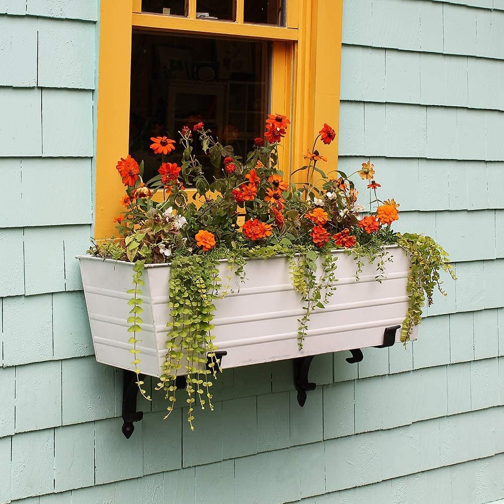 Large Cape Cod Flower Box - Outdoor Wooden Planter for Garden, Patio, and Window Decor - Perfect for Flowers, Herbs, and Plants