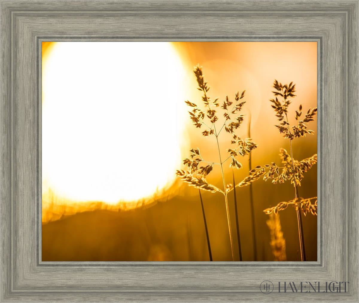 Plate 3 Spring Brook Grasses - Decorative Ceramic Plate for Home & Kitchen Decor, Perfect for Wall Art, Table Centerpiece, and Gift Giving