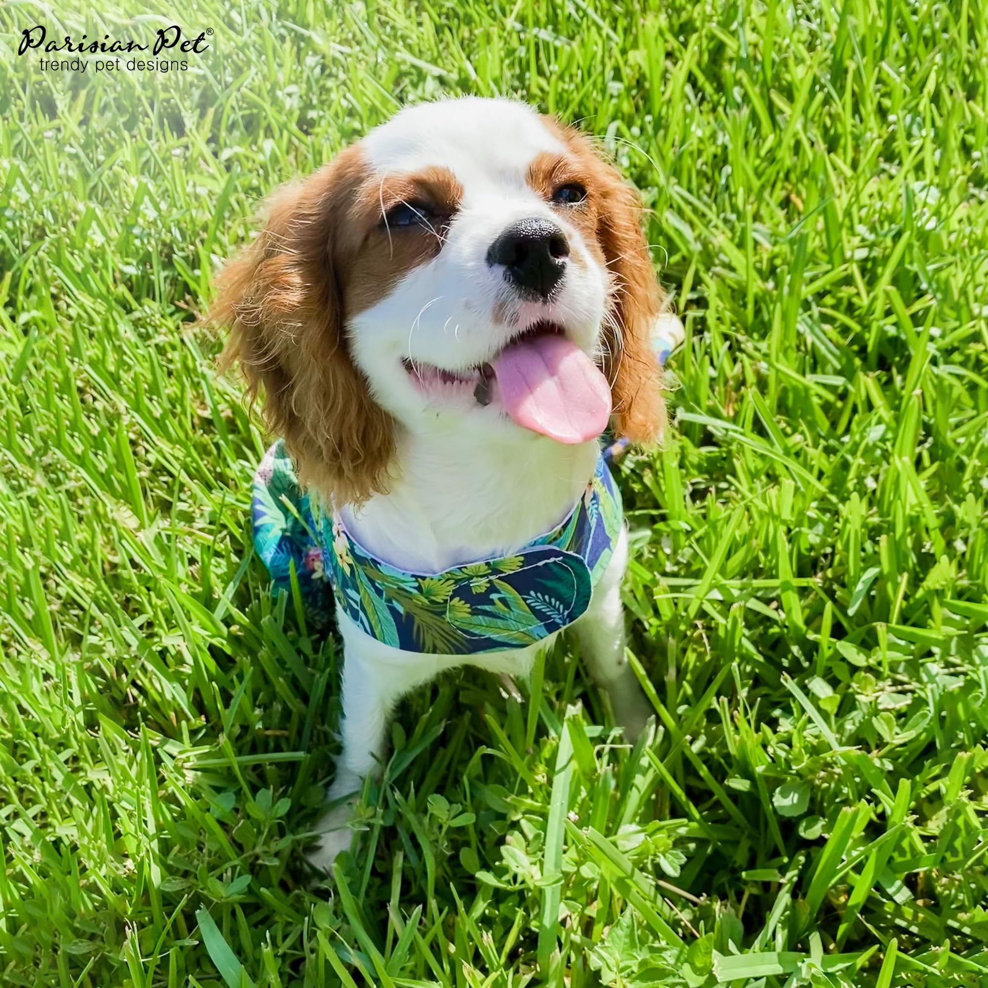 Magic Strap Closure Parisian Pet Amazonia Leafy Summer Dog Dress for Large Female Dogs - Perfect for Outdoor Adventures, Beach Trips & Summer Parties