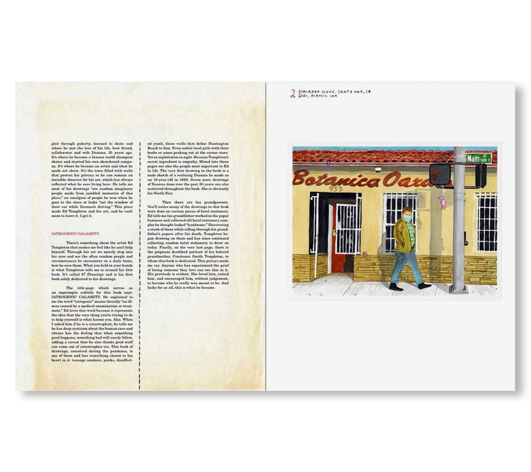 87 DRAWINGS by Ed Templeton - Limited Edition Art Book for Skateboard Culture & Street Art Enthusiasts | Perfect for Home Decor, Artist Inspiration & Collectors