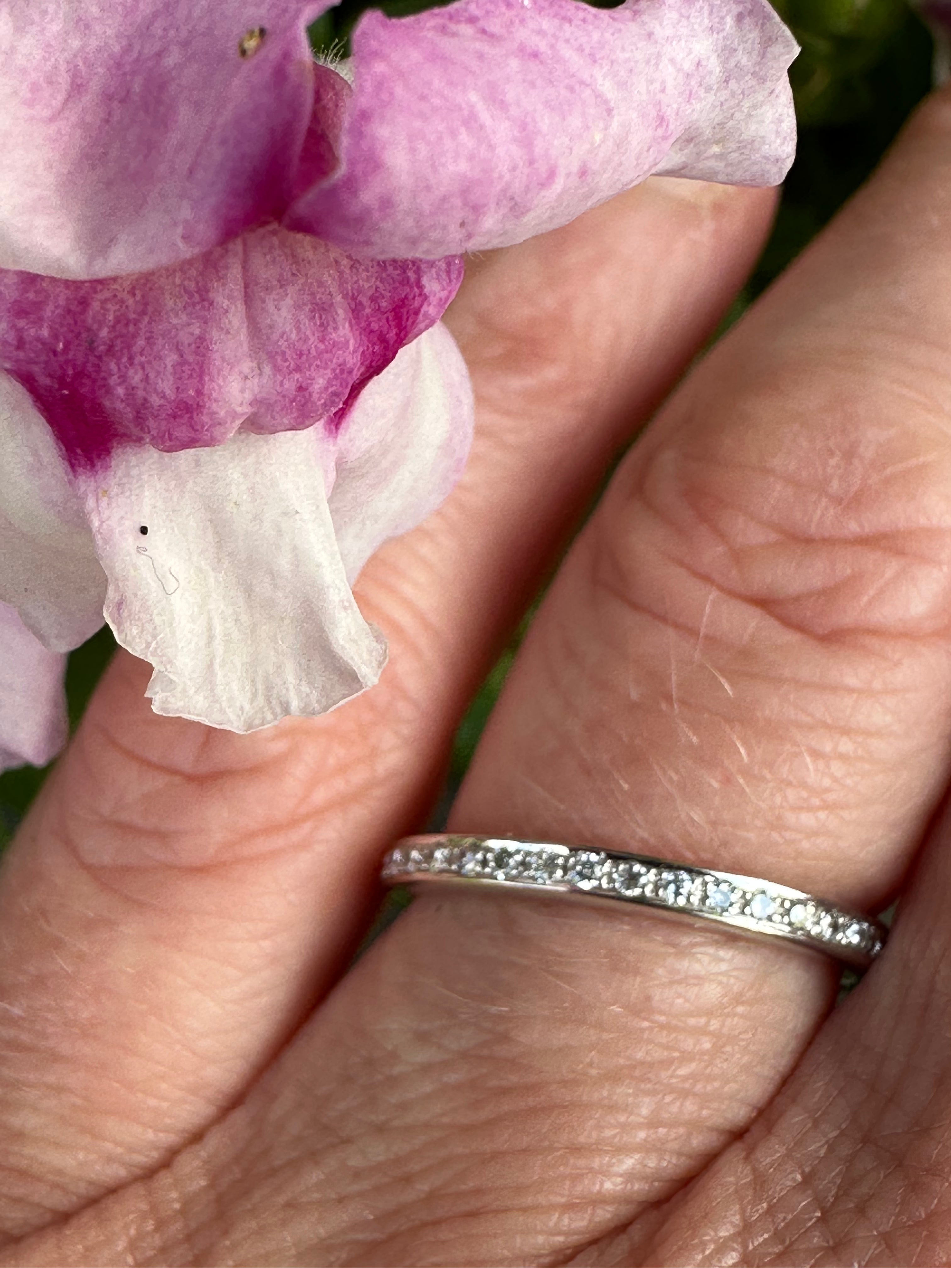 18ct White Gold TWVS 0.30ct Diamond Grain Set Full Eternity Ring - Perfect for Weddings, Anniversaries & Special Occasions