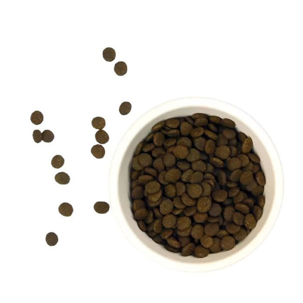 Premium Salmon Dry Cat Food for Adult Cats - High Protein, Grain-Free Recipe for Healthy Skin & Coat - Ideal for Indoor & Outdoor Cats