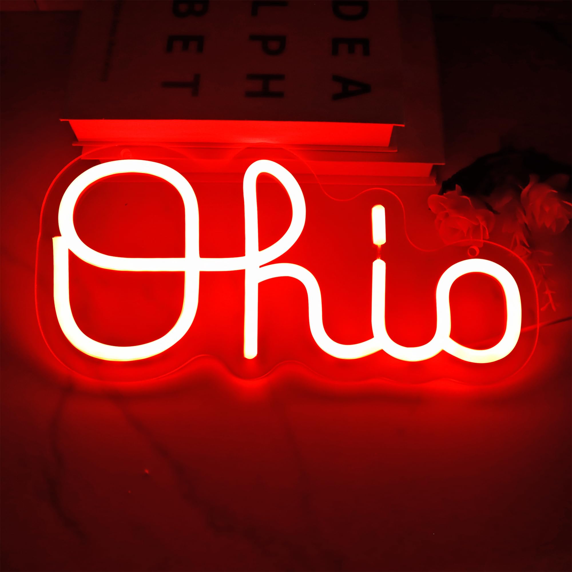 Ohio State Neon Signs - Dimmable LED Wall Decor for Bar, Dorm, Man Cave & Home | USB Powered Custom Neon Lights for Parties, Clubs & Stores | Perfect for Game Nights & Themed Room Decor
