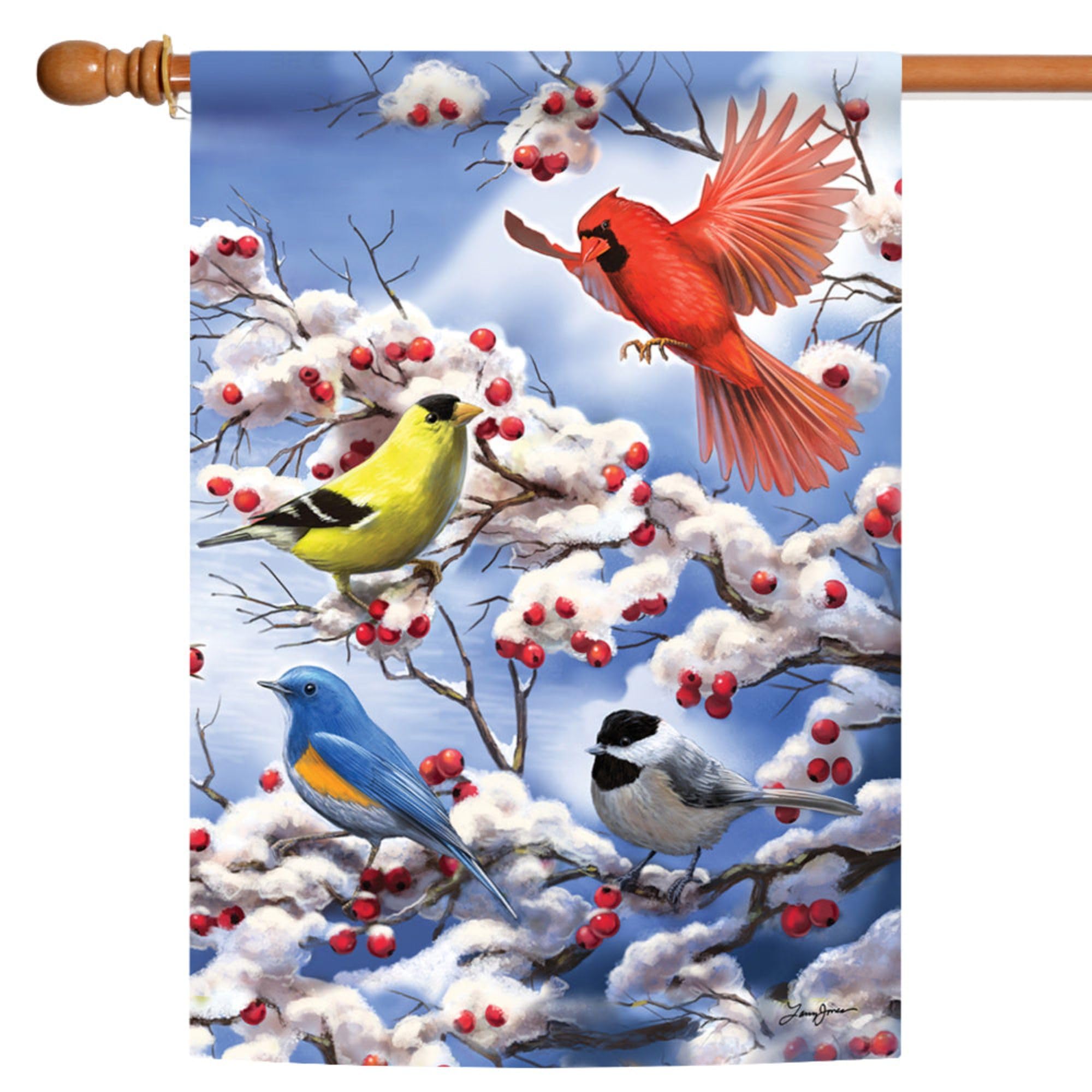 Toland Home Garden 1010478 Finch and Cardinal Winter Flag - 28x40 Inch Double Sided Outdoor Garden Flag with Bird Design - Perfect for House Yard Decoration in Winter Season | Ideal for Front Porch, Lawn, and Seasonal Holiday Decor