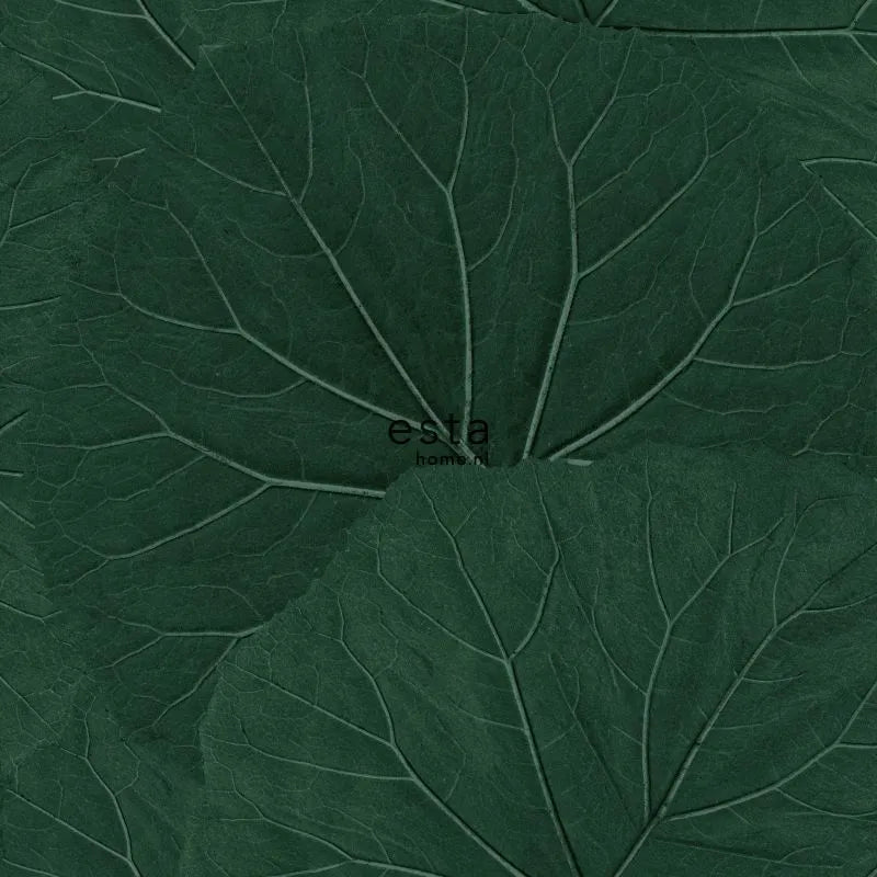 Jungle Fever Lush Harmony - Exotic Tropical Home Decor for Boho & Jungle Theme Rooms | Perfect for Living Room, Bedroom, or Office Decor