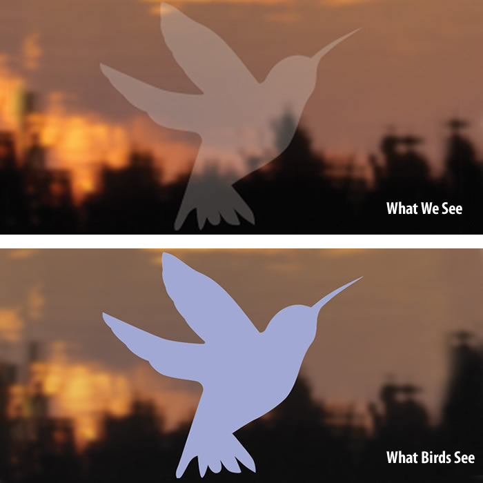Duncraft Bird Safe® Hummingbird Window Decals - Prevent Bird Collisions, UV-Resistant Stickers for Windows - Perfect for Home, Office & Garden Bird Protection