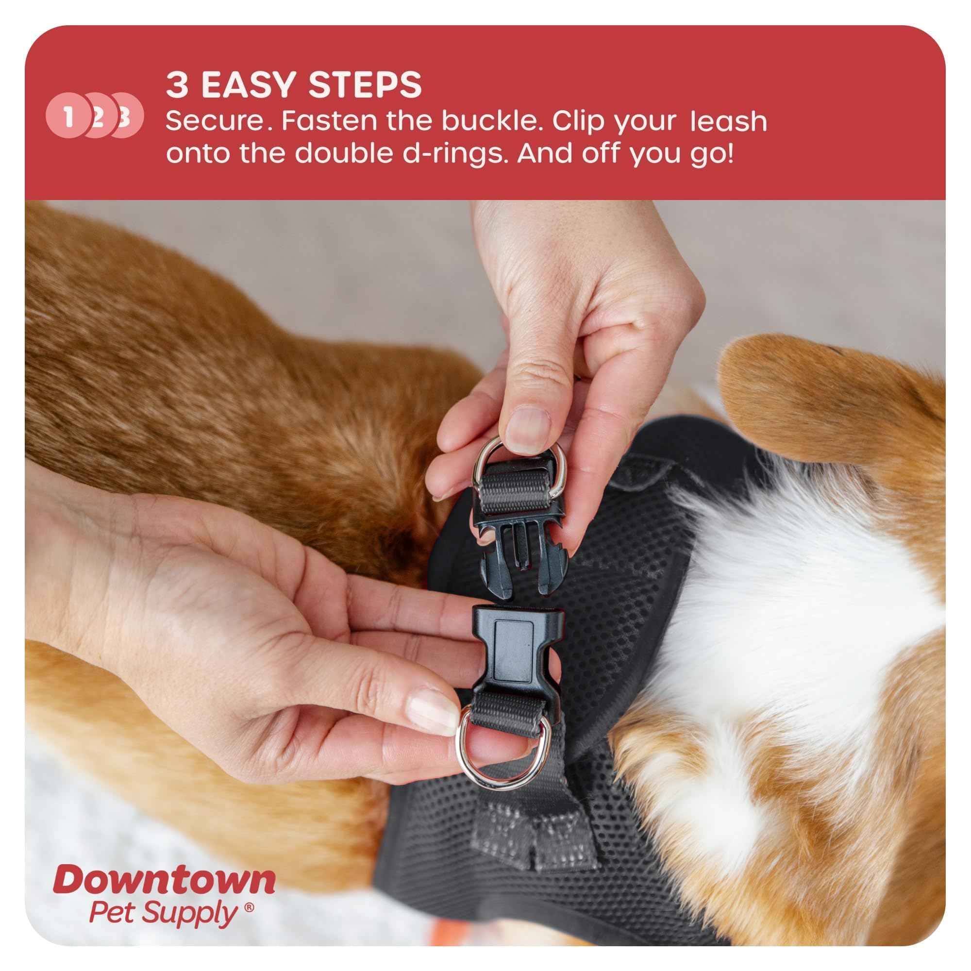 Step-in Dog Harness for Small Dogs & Cats - No Pull Adjustable Pet Harness with Padded Mesh & Reflective Trim - XX-Small Charcoal Buckle Strap Harness - Perfect for Teacup Breeds, Puppies & Indoor Cats - Ideal for Walks, Training & Outdoor Adventures