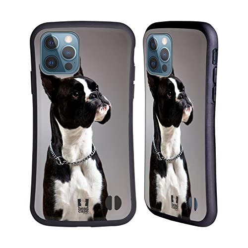 Black And White Dog Boxer