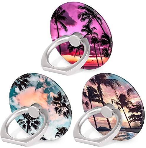 Sunset Beach Palm Tree