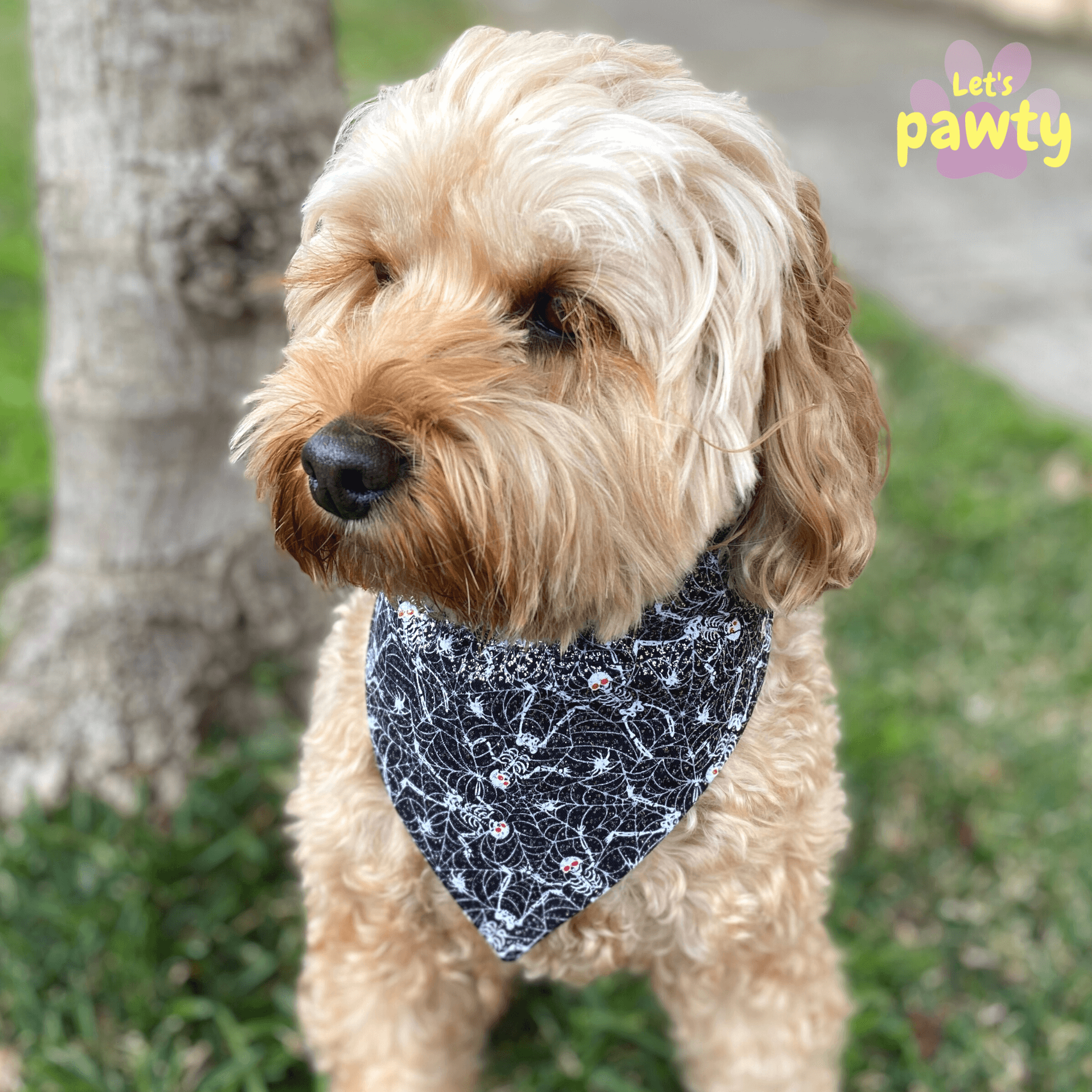 Halloween Dog Bandana - Skele Bones Reversible Pet Bandana for Dogs - Perfect for Halloween Costumes & Pet Parties