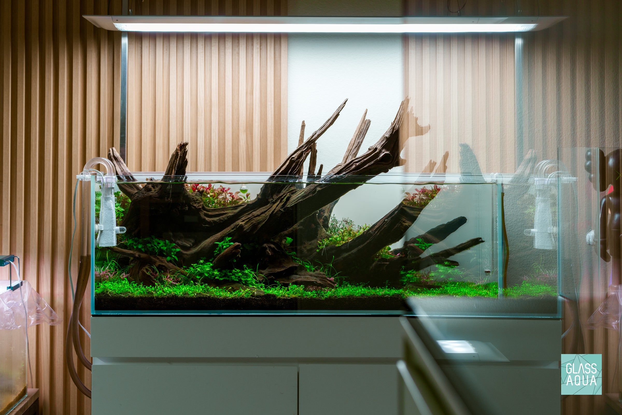 Premium UNS Rimless Long Glass Aquarium Tank - Crystal Clear View for Nano Fish & Shrimp | Perfect for Home Office, Living Room Decor & Zen Aquascaping