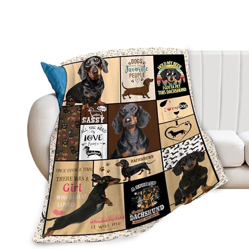 Dachshund