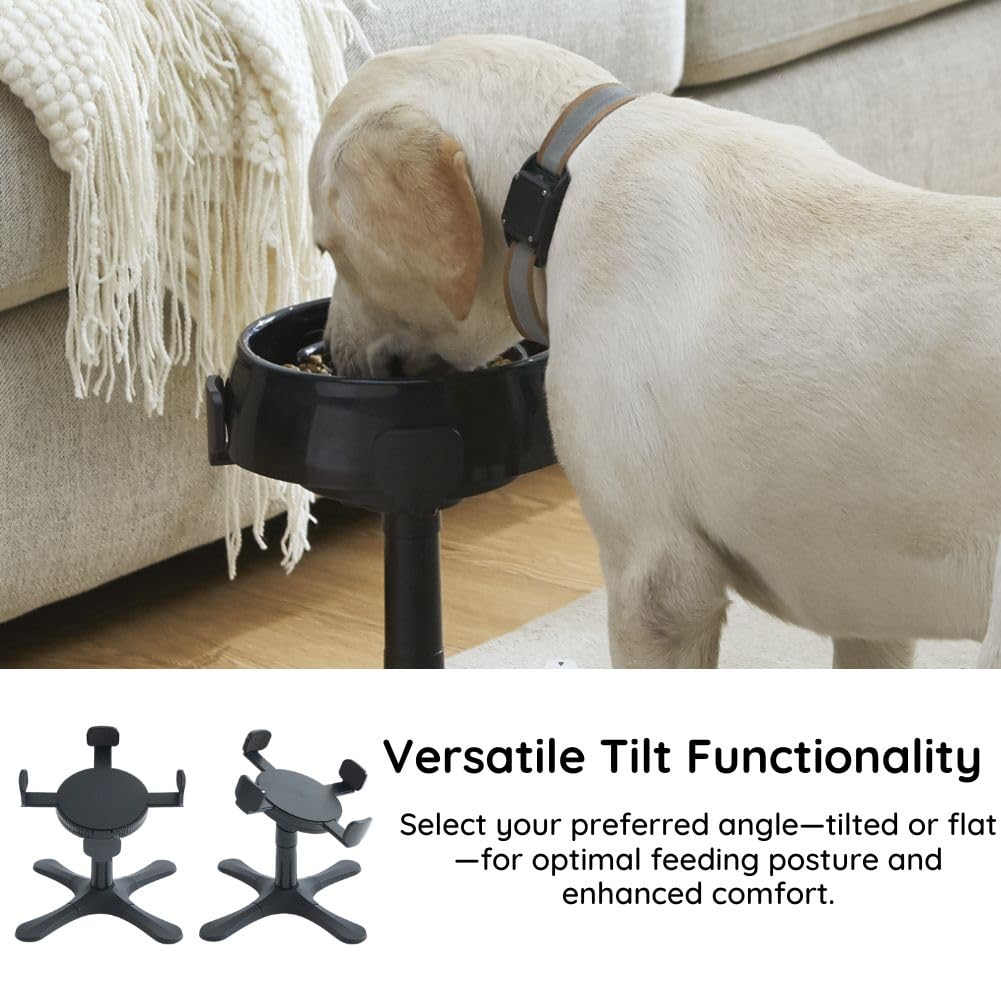 Elevated Adjustable Dog Bowl Stand - 3 Height Adjustable Feeding Station for Medium & Large Dogs - Compatible with Most Bowls (2 Pack) - Perfect for Dining, Training & Outdoor Use