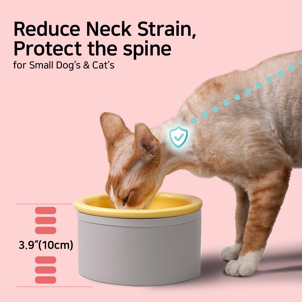 Elevated Cat and Dog Bowls - 6.5