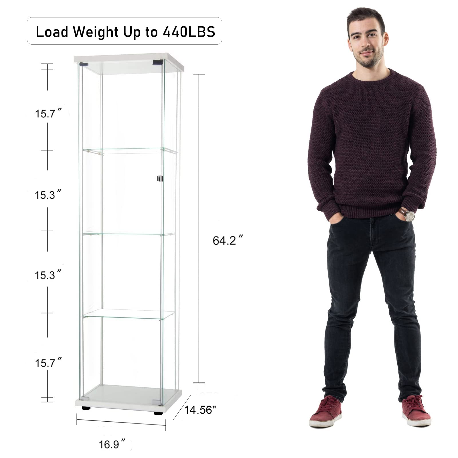 HomVent Glass Display Case with Doors - 4 Shelf Floor Standing Curio Cabinet for Car Models, Architecture Models & Toy Collections | Perfect for Living Room, Office or Showroom Display