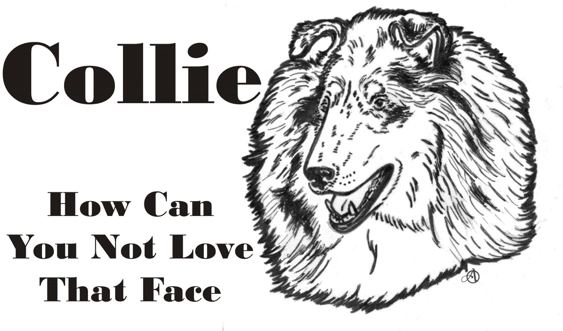 Cahoon's Closet Collie Face Brand T-Shirt - Adorable Dog Lover Tee for Casual Wear & Gifts