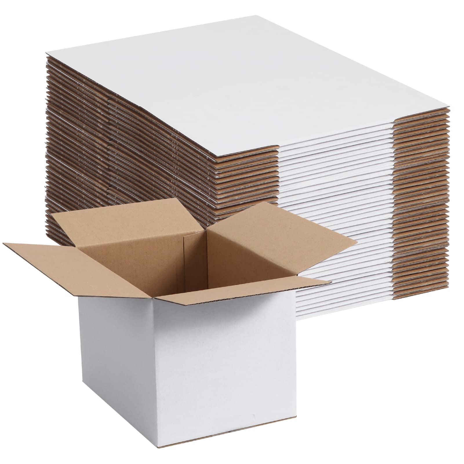 40-Pack 8x6x6