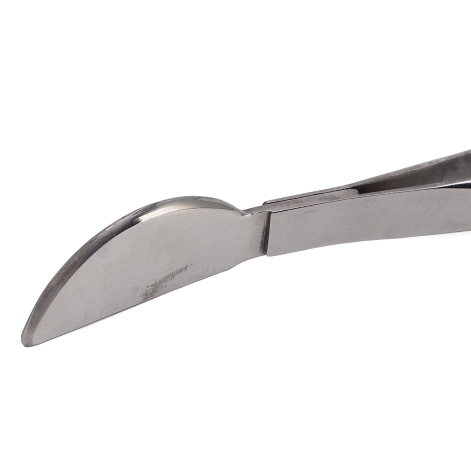 Fdit Stainless Steel Bonsai Tweezers - Long Handled Gardening Tool for Plants, Succulents & Precision Work | Straight Tip Design for Pruning, Repotting & Detailed Plant Care