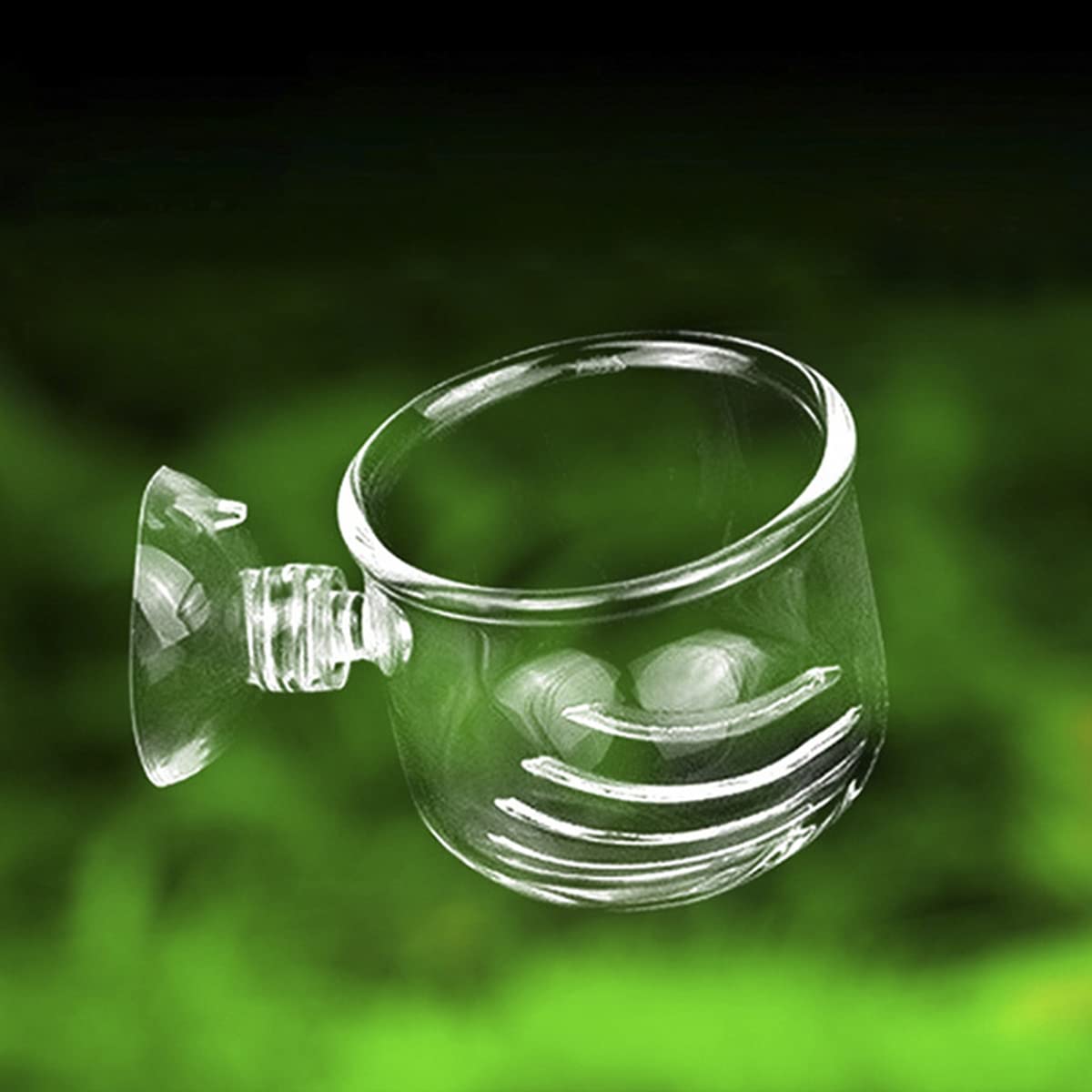 Glass Aquarium Fish Feeder with Suction - Perfect for Shrimp & Plant Tanks