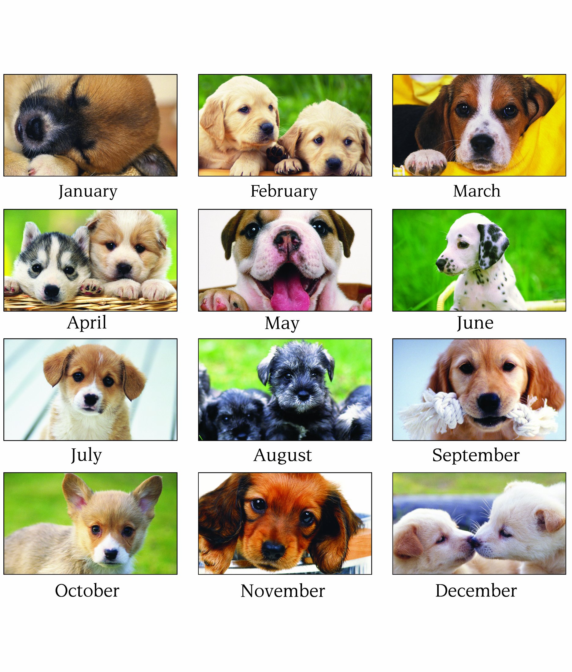 AT-A-GLANCE 2014 Puppies Monthly Desk Pad Calendar, 22 x 17 Inches - DMD166-32 - Perfect for Office, Home & School Organization & Planning