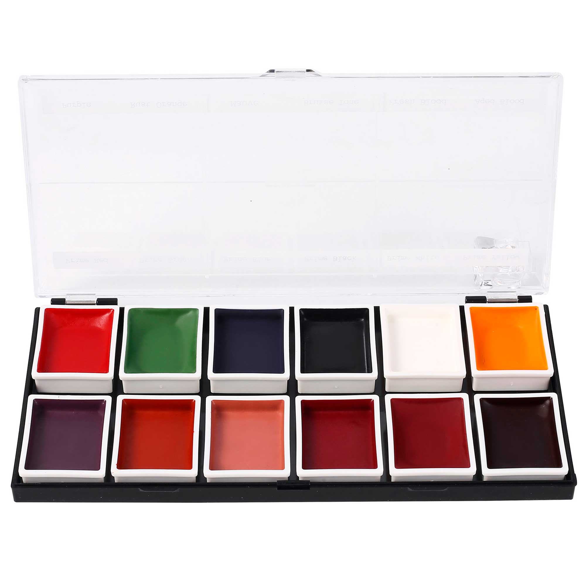 12 Color FX Alcohol Activated Palette - Professional Face & Body Paint for Halloween, Cosplay & Special Effects Makeup
