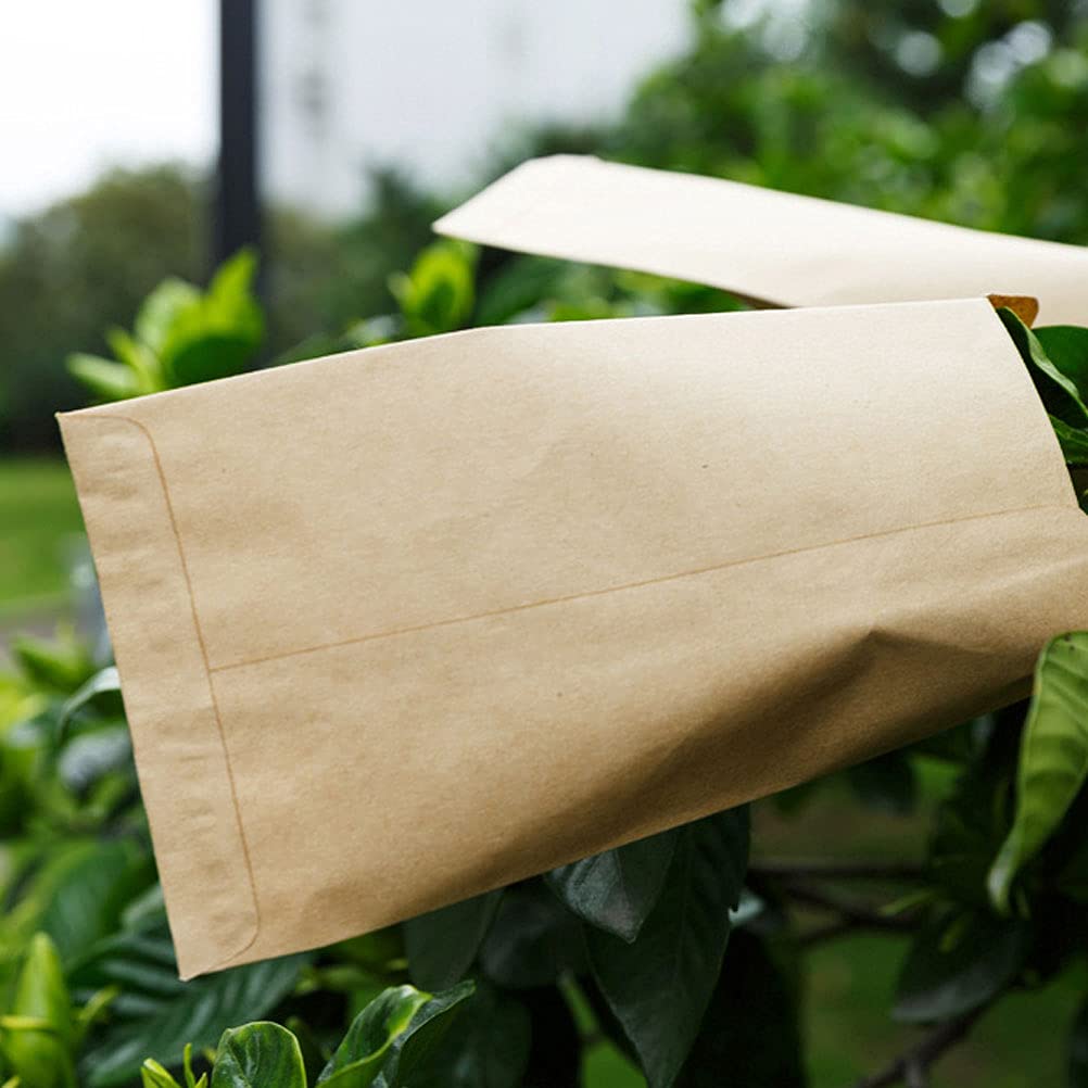 100pcs Brown Kraft Paper Bags - Sandwich Lunch Bags, Small Grocery Bags, Cash Envelopes for Party, Gift & Coin Storage | Eco-Friendly Food Packaging for Picnics, School Lunches & Retail Use