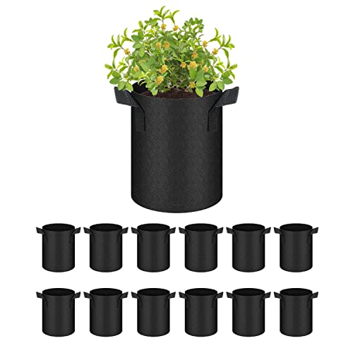 Black, 12 Pack