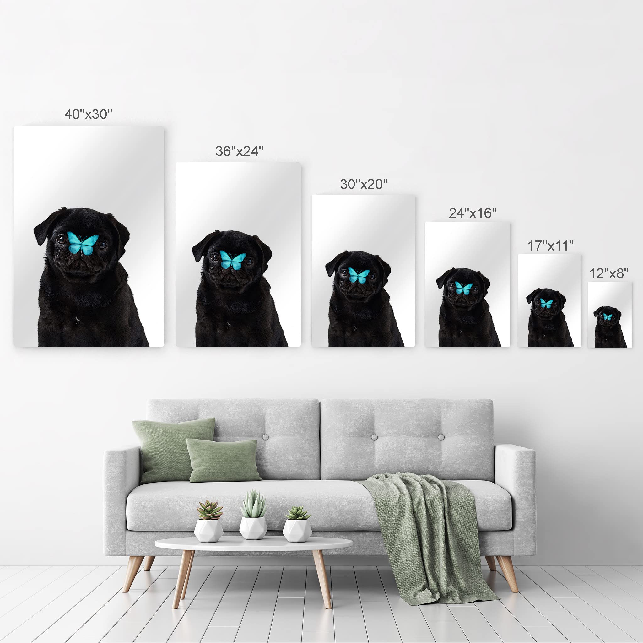 French Bulldog Portrait with Blue Butterfly - Metal Wall Art Print for Pet Lovers, Dog Owners & Parents - Unique Gift for Living Room, Bedroom, Nursery Decor - Made in USA (12x8 Inches) - Perfect for Home, Office & Pet-Friendly Spaces