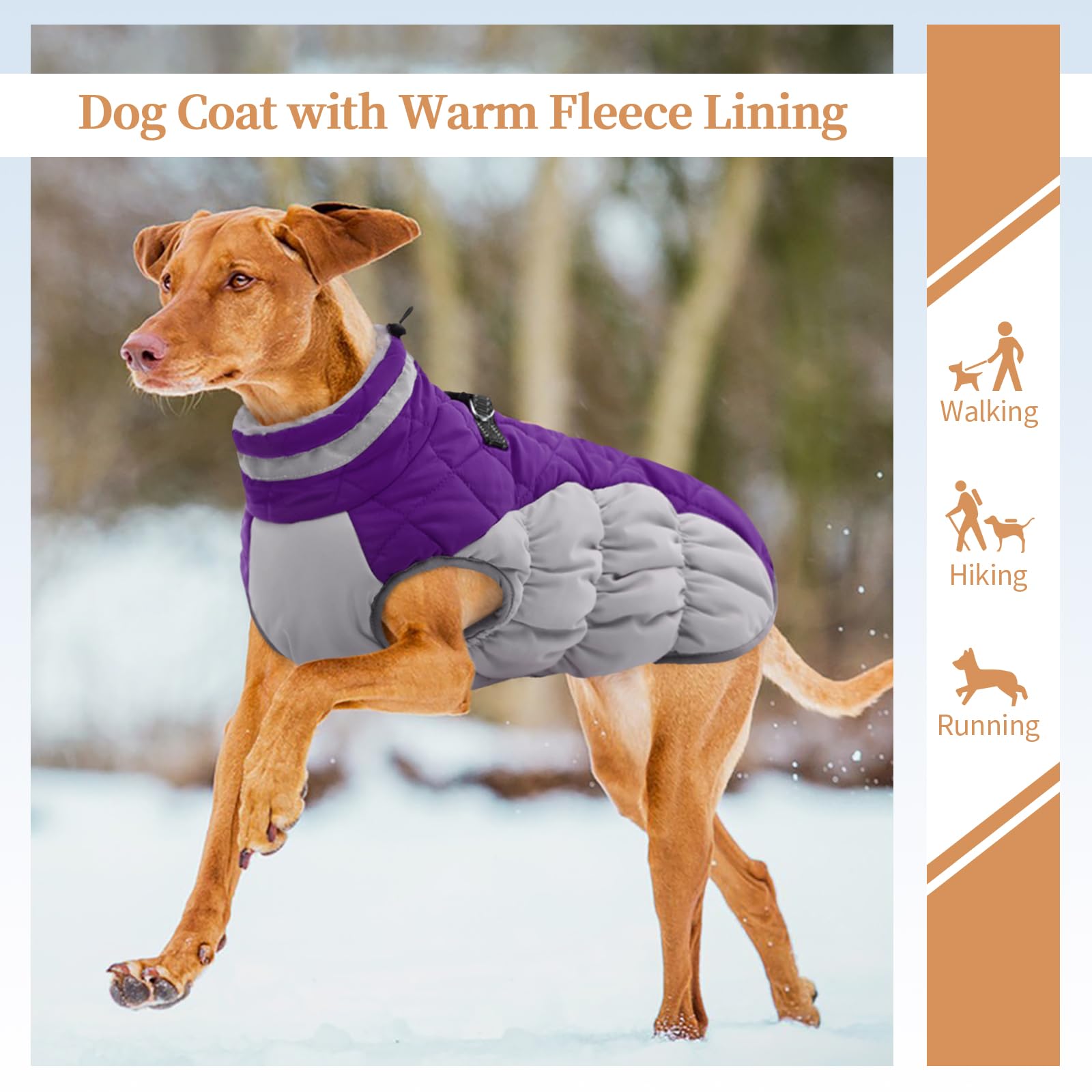 Warm Fleece Dog Winter Coat for Large Dogs - XL Waterproof Snow Jacket with D-Ring & Back Zipper | Beagle, Corgi, Border Collie | Purple Winter Dog Clothes for Cold Weather & Outdoor Adventures