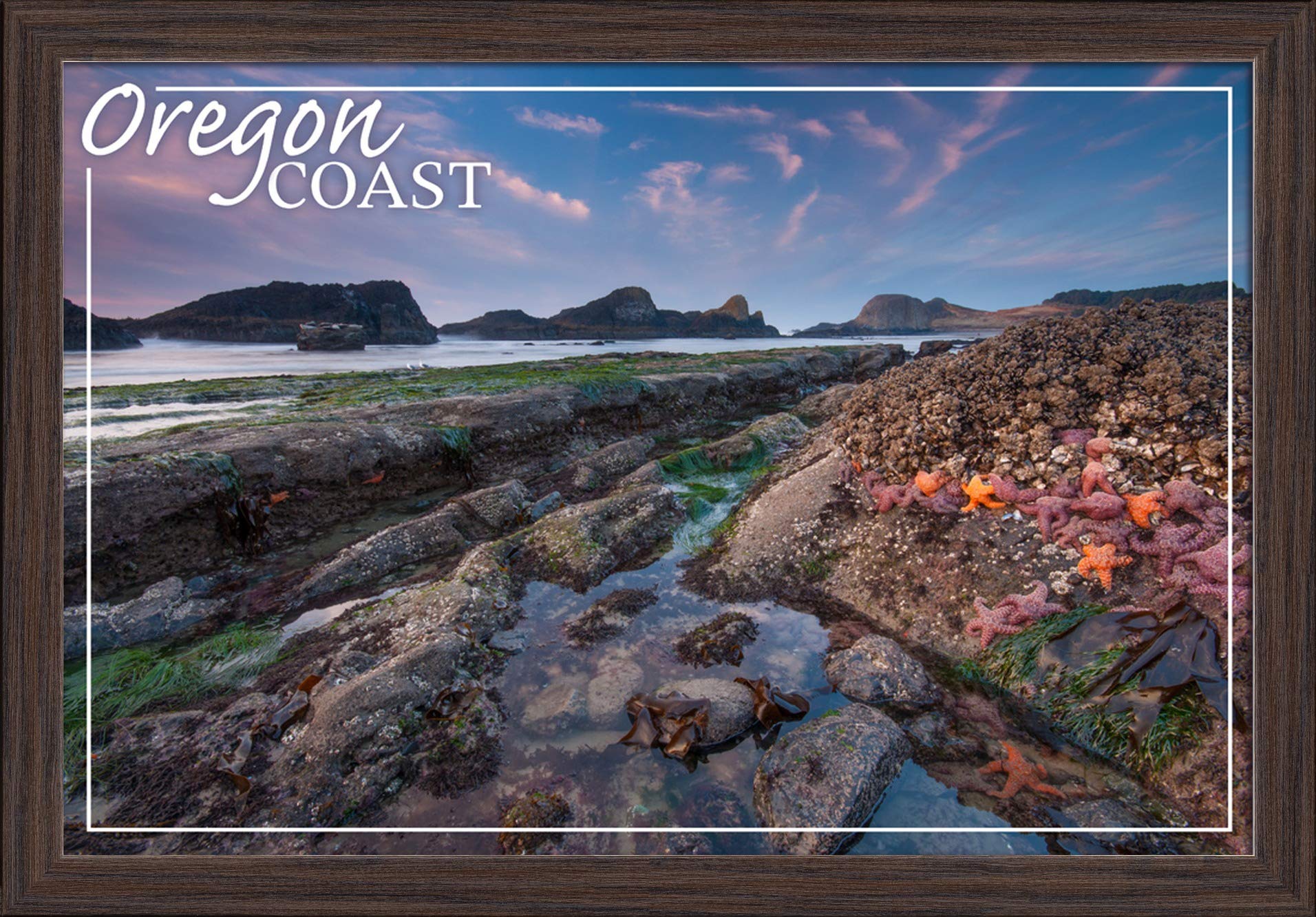Oregon Coast Tidepool Art Print - 16x24 Giclee Fine Art on Recycled Wood Frame in Espresso Brown - Perfect for Beach House Decor, Coastal Living Room Wall Art & Nature Lovers Gift