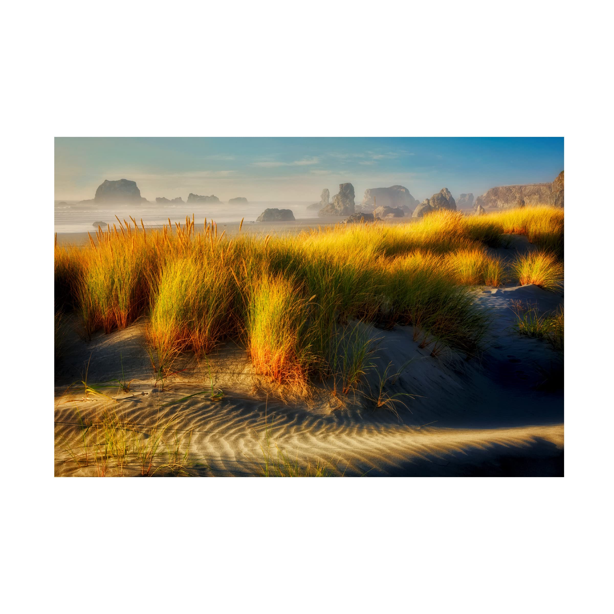 Dennis Frates 'Sea Grass 1' Canvas Wall Art Print - Coastal Beach Decor for Living Room, Bedroom & Office - Trademark Fine Art Collection