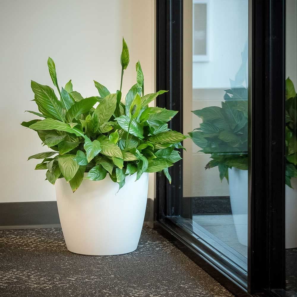 15 Inch Memphis Round Planter - Indoor Plastic Flower Pot for Plants, Black | Perfect for Home Decor, Office Plants & Garden Decorations