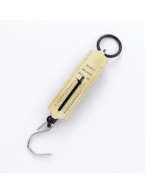 High Precision Digital Spring Balance - Accurate Weight Measurement for Jewelry, Food, and Laboratory Use | Perfect for Home, Kitchen, and Science Experiments