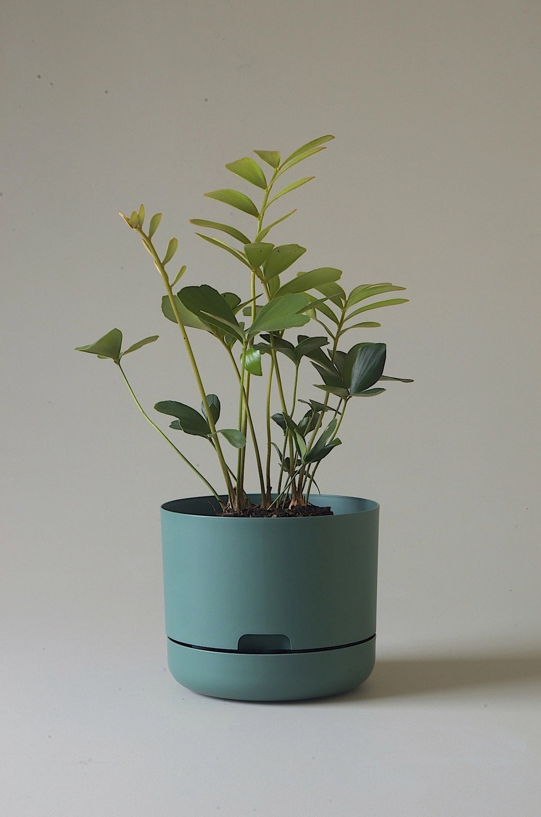 Mr. Kitly Self-Watering Plant Pot - Dark Moss Green Indoor Planter with Automatic Watering System | Perfect for Home, Office, and Garden Decor