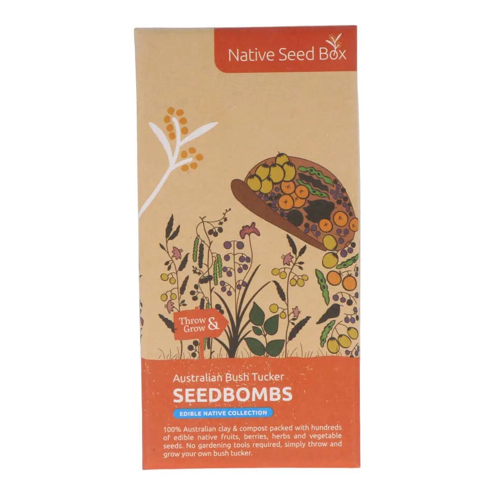 Native Seed Box Seed Bomb Collections - Wildflower & Herb Seed Bombs for Eco-Friendly Gardening, Pollinator Gardens & DIY Landscaping