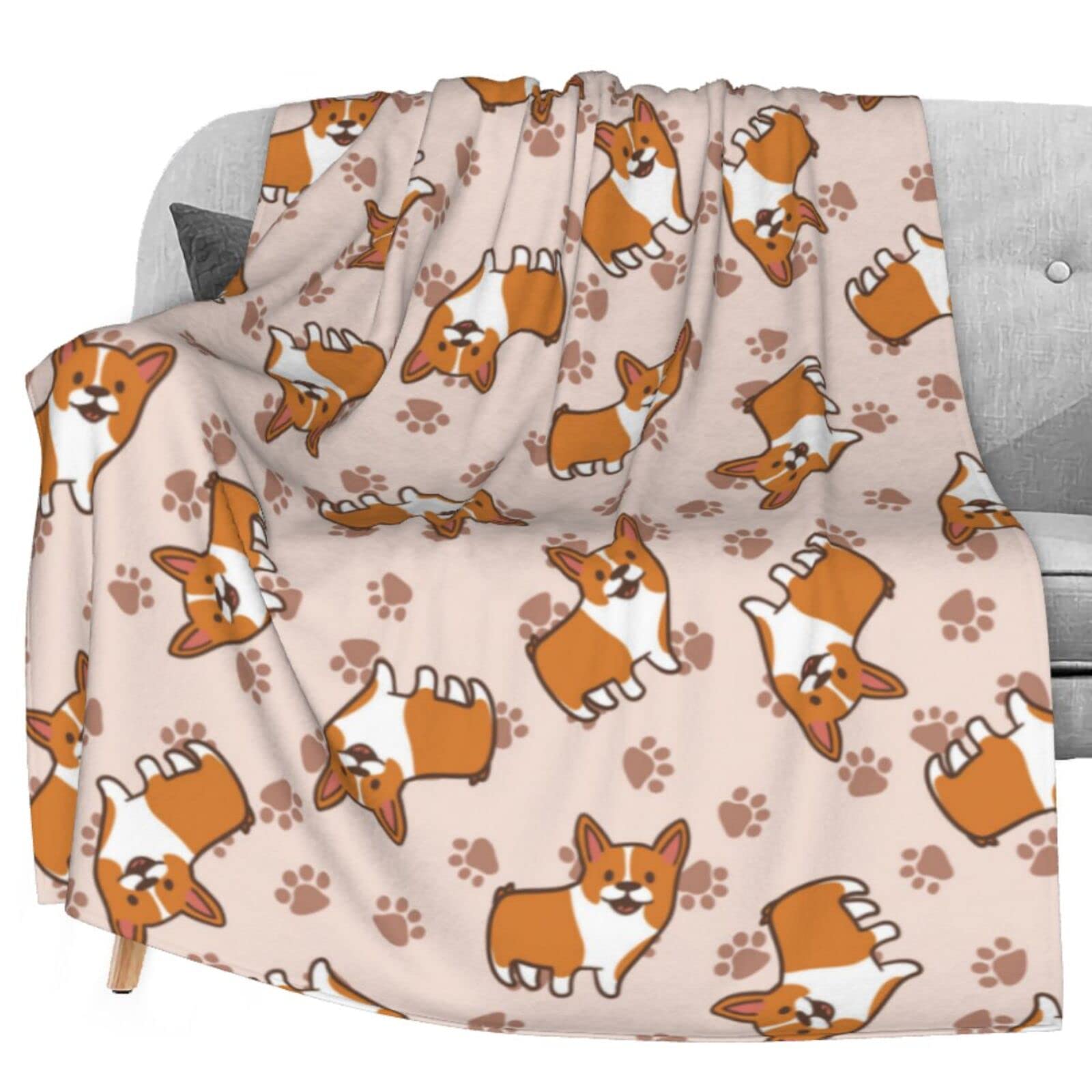 A Cozy Adventure with Corgi: The Perfect Companion for Every Moment